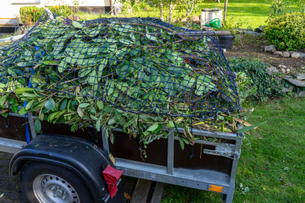 Steele Creek, AK Junk Removal Services Pros